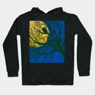 A cat and an owl at night Hoodie